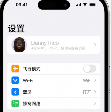 洛川appleID维修服务iPhone设置中Apple ID显示为灰色无法使用 