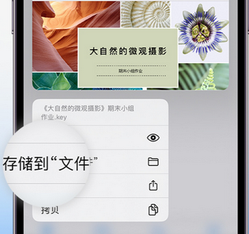 洛川apple维修中心分享iPhone文件应用中存储和找到下载文件