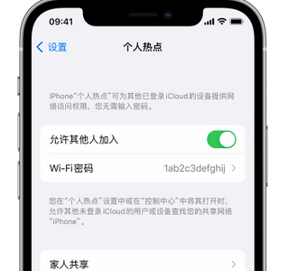 洛川apple服务站点分享iPhone上个人热点丢失了怎么办 