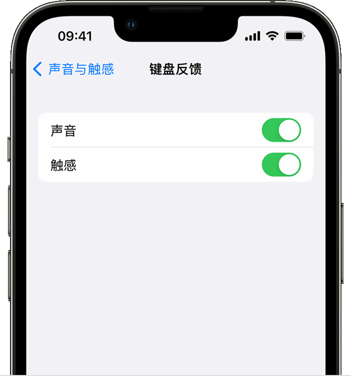 洛川苹果14维修店分享如何在 iPhone 14 机型中使用触感键盘 