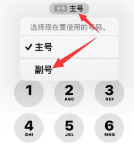 洛川苹果14维修店分享iPhone 14 Pro Max使用副卡打电话的方法 