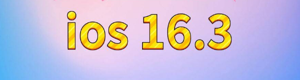 洛川苹果服务网点分享苹果iOS16.3升级反馈汇总 