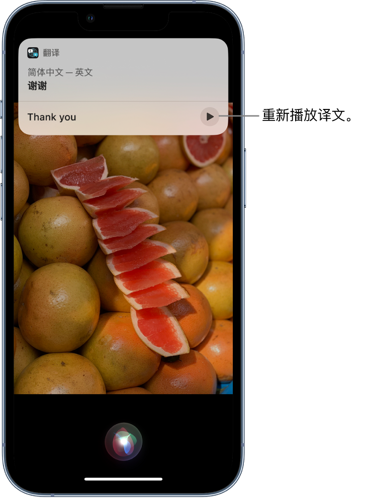 洛川苹果14维修分享 iPhone 14 机型中使用 Siri：了解 Siri 能帮你做什么 