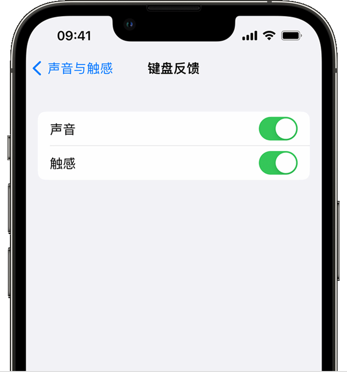 洛川苹果14维修分享iPhone 14 系列机型如何开启键盘声音或触感反馈 