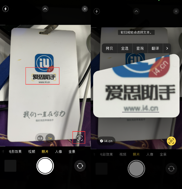 洛川苹果手机维修分享升级iOS 16后如何通过相机翻译文本 