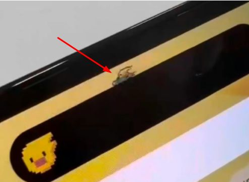 洛川苹果14维修分享iPhone 14 Pro Max灵动岛怎么养宠物 