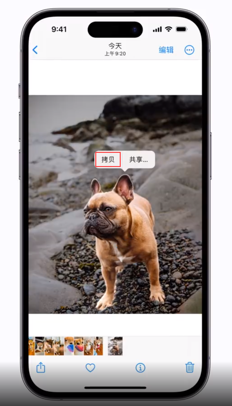 洛川苹果手机维修分享 iOS 16 自带一键抠图功能 
