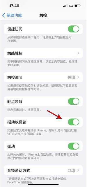 洛川苹果手机维修分享iPhone手机如何设置摇一摇删除文字 