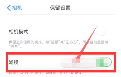 洛川苹果13维修分享iPhone13拍照有绿点是怎么回事 