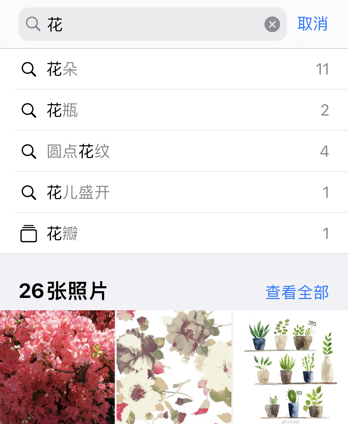 洛川苹果手机维修分享iPhone 小技巧 