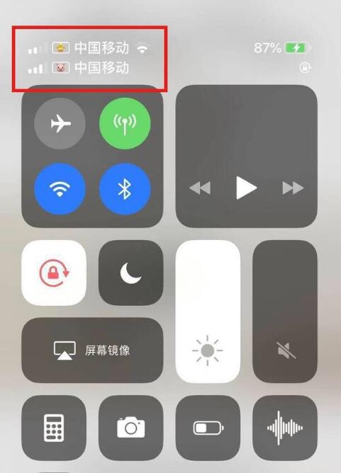 洛川苹果手机维修分享为 iPhone 12 双卡设置标签 