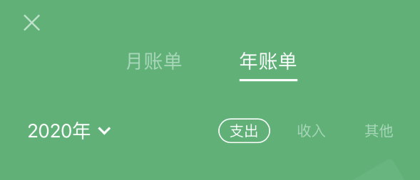 洛川苹果手机维修分享如何在 iPhone 上查看支付宝和微信年支出账单 